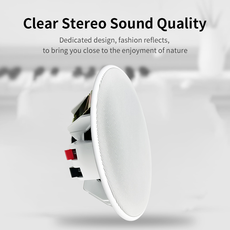 6 inch 8ohm plafondluidspreker - Audio Music System For Home recensie en prijs