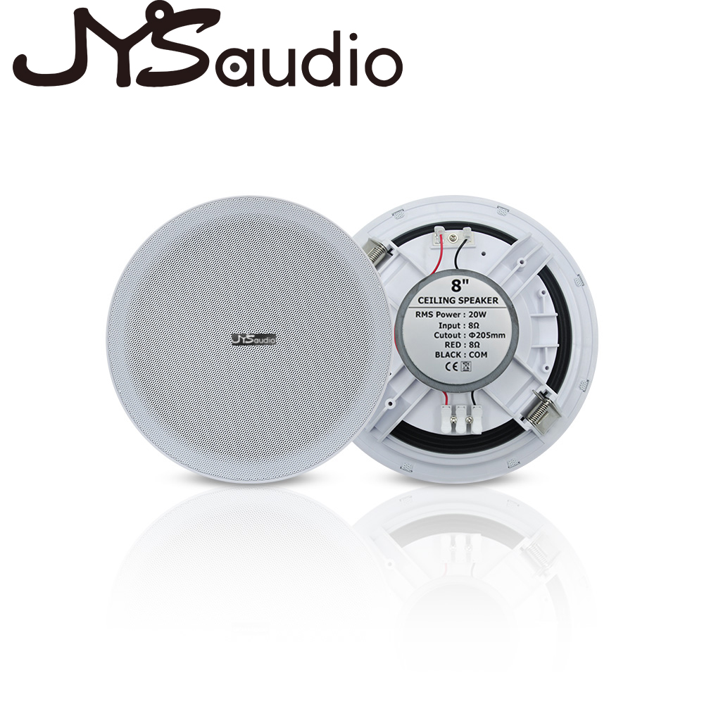 20W plafondluidspreker Stereo  - Audio Music System For Home recensie en prijs