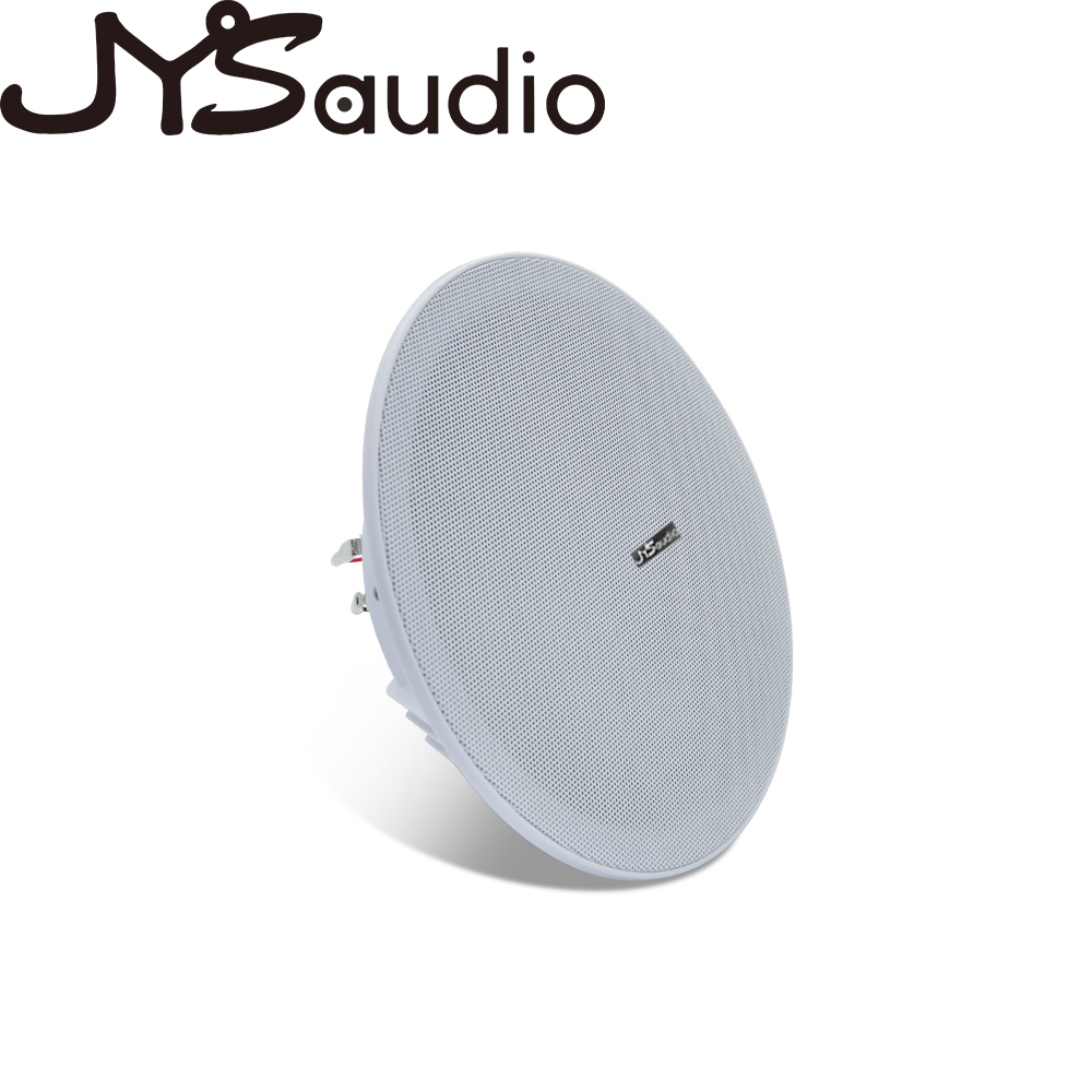 20W plafondluidspreker Stereo  - Audio Music System For Home recensie en prijs