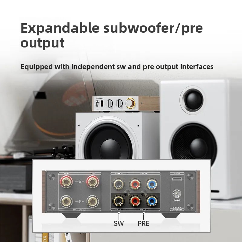 FiiO Horizon Level 1 krachtige - Audio Music System For Home recensie en prijs