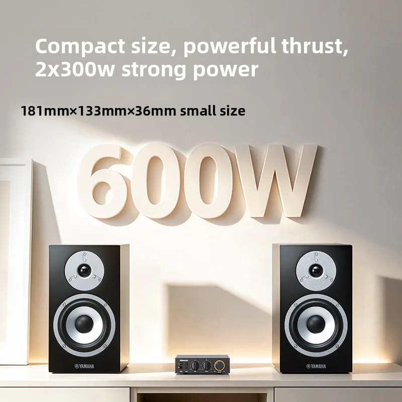 FiiO Horizon Level 1 krachtige - Audio Music System For Home recensie en prijs
