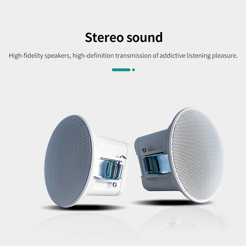 2 inch mini 8 ohm plafondluids - Audio Music System For Home recensie en prijs