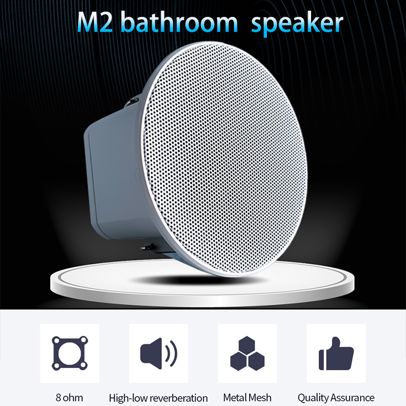 2 inch mini 8 ohm plafondluids - Audio Music System For Home recensie en prijs